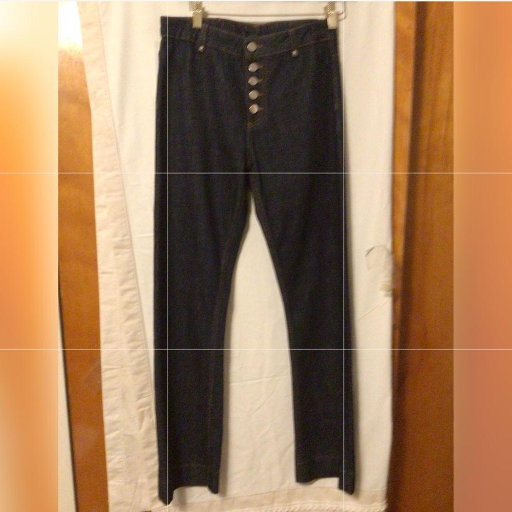 ALEXA CHUNG FLARE JEANS Sz 27 NWT